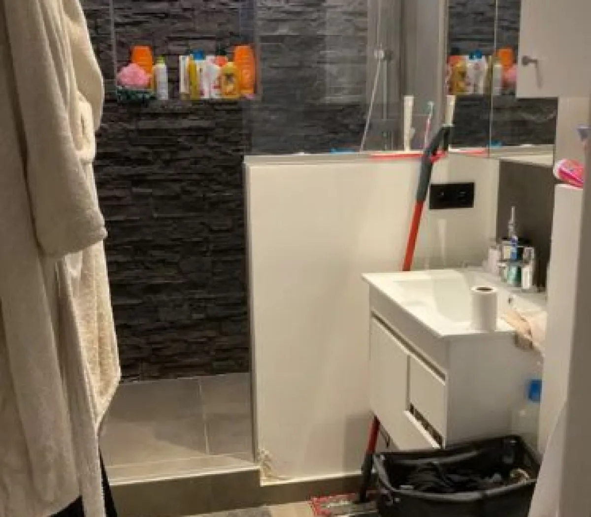 Location Charenton-le-Pont Appartement 66a399198a41