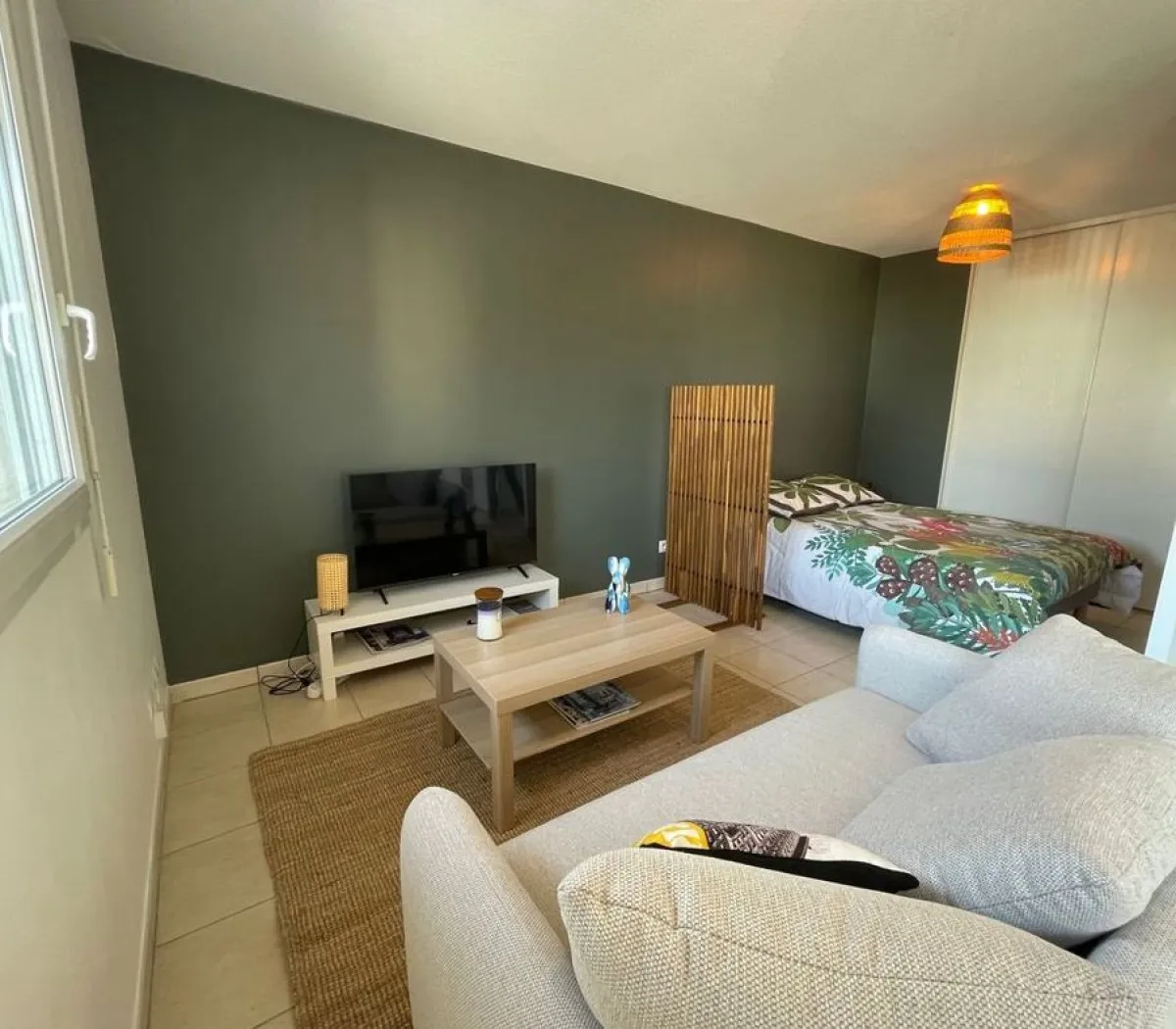 Location Villeurbanne Appartement 66b211f684eb