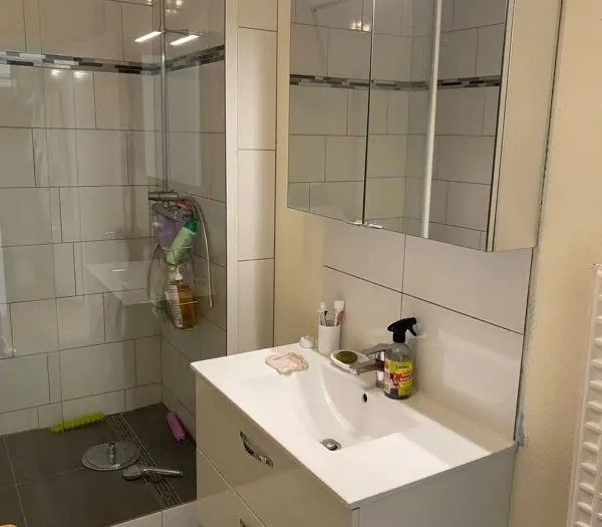 Location Lille Appartement 66c340b58a00