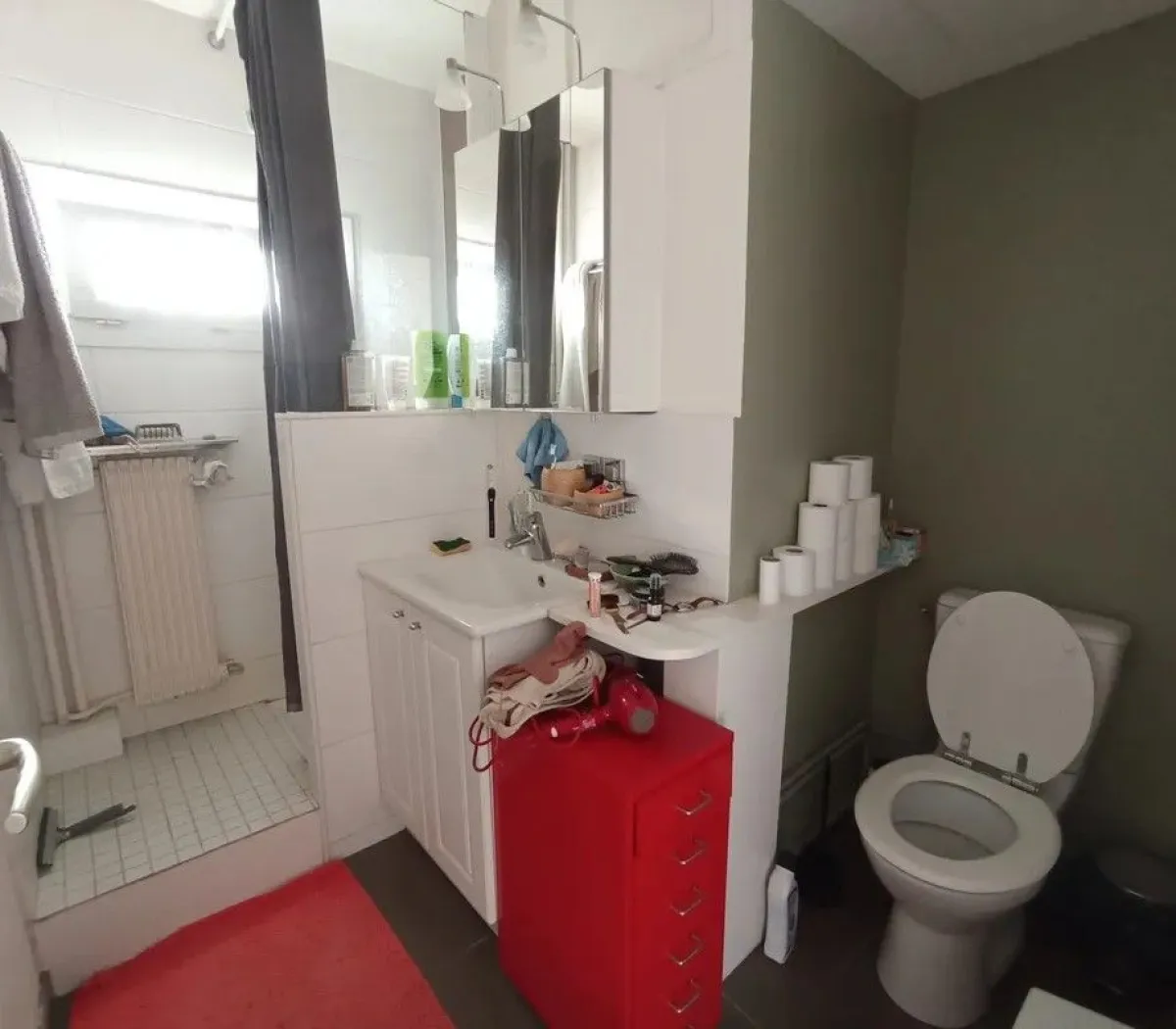 Location Villeurbanne Appartement 66c4601c9ded