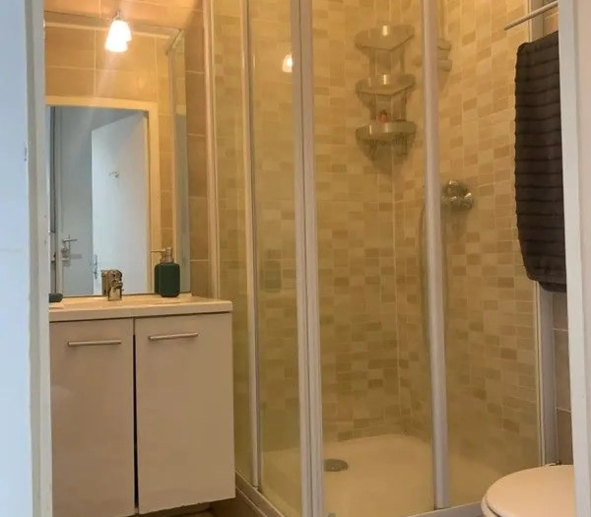 Location Saint-Étienne Appartement 66c4a4f987e3