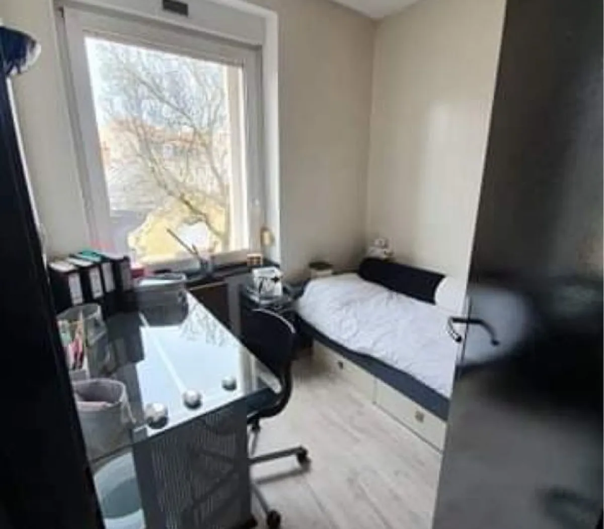 Location Mulhouse Appartement 66cef2790a97