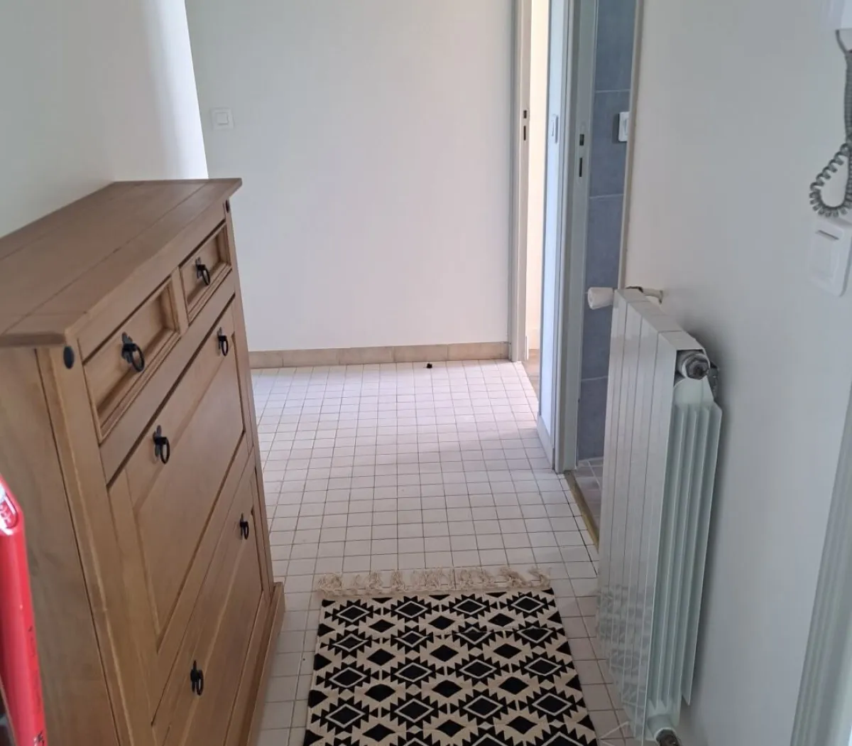 Location Saint-Denis Appartement 66cf1c50e243