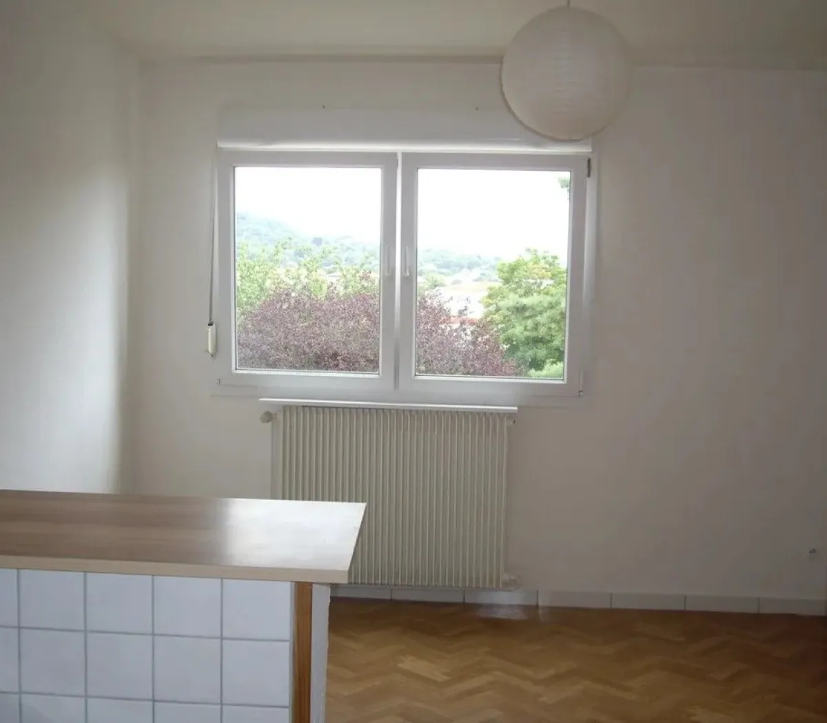 Location Nancy Appartement 66d04b21c9d7