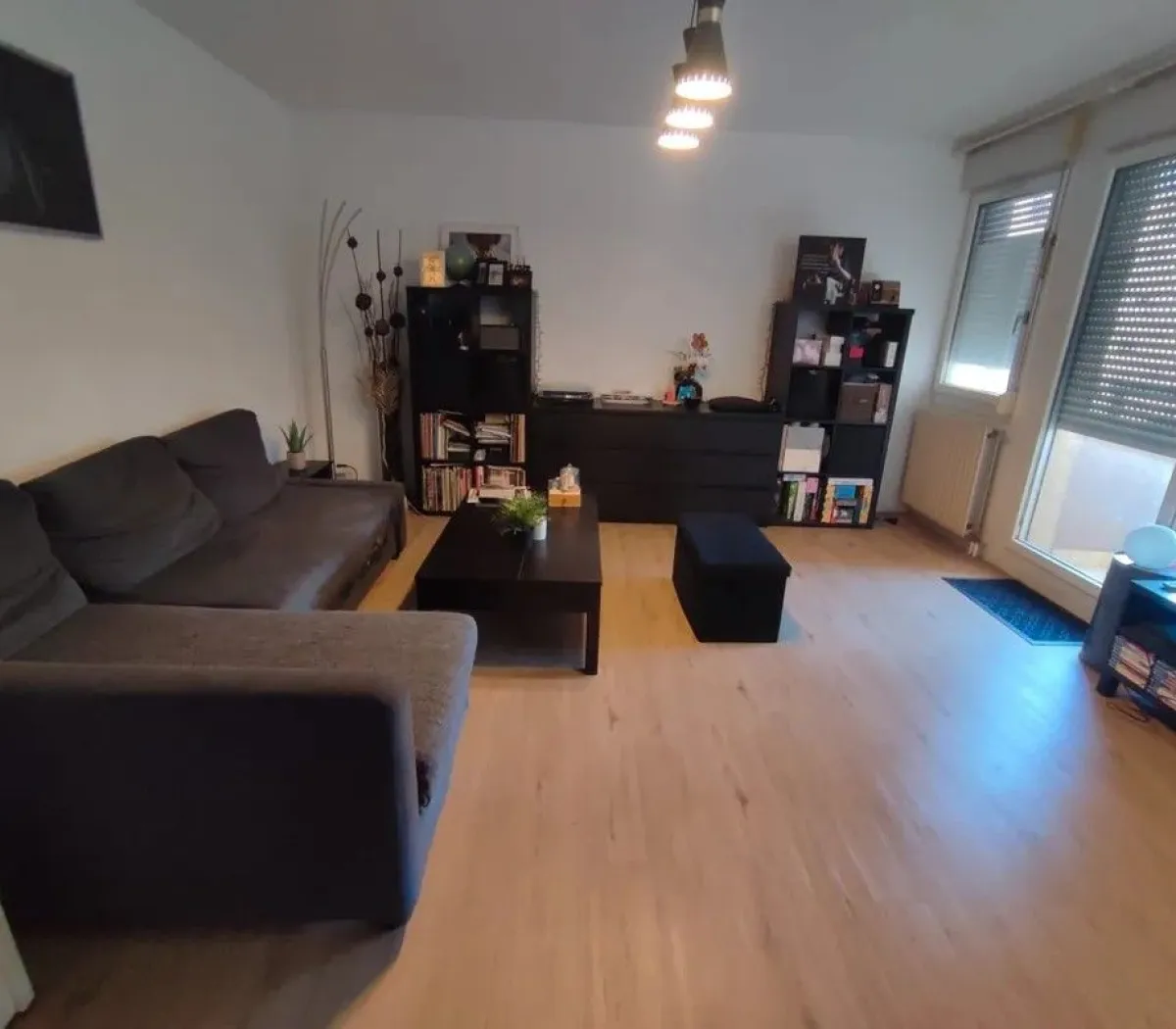 Location Lyon Appartement 66d718cfa0b6