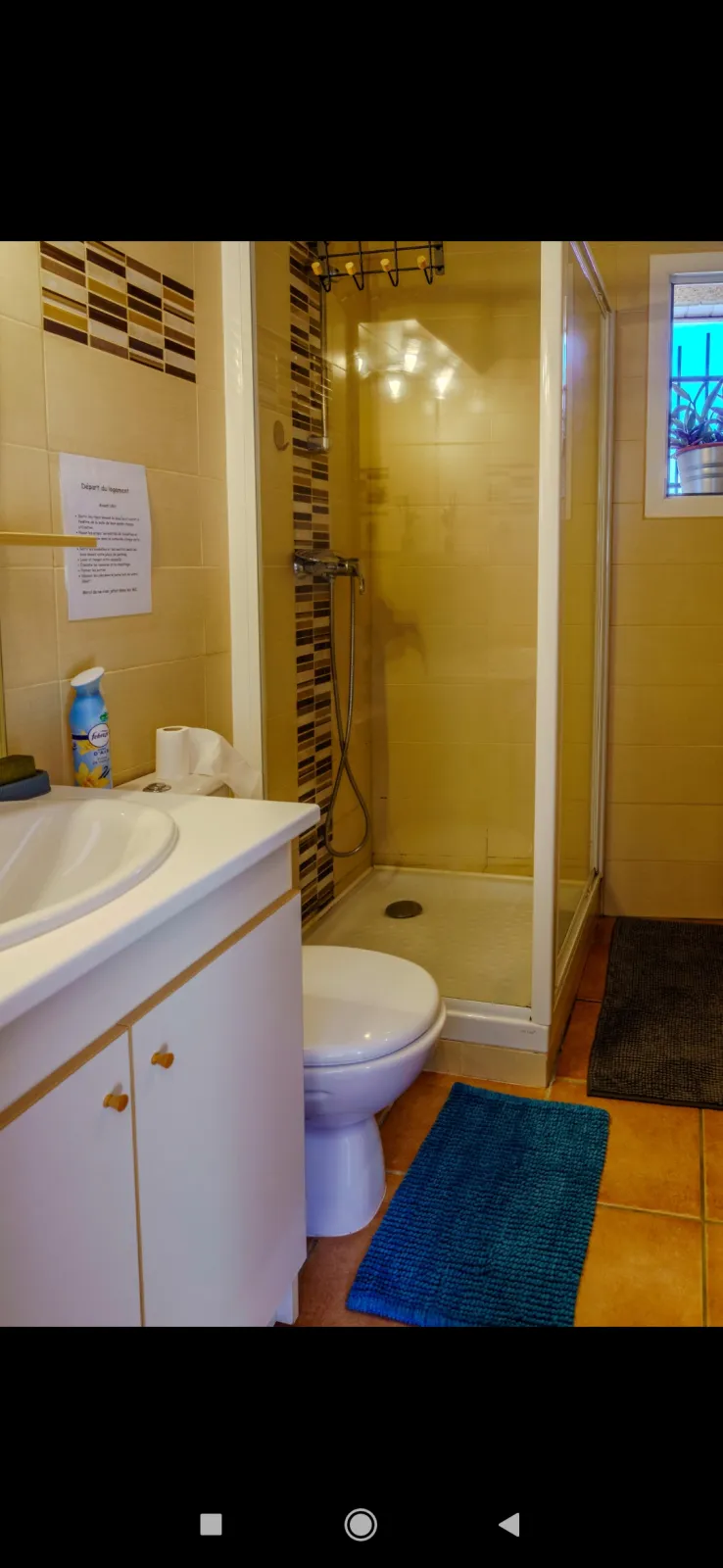 Location Rouffiac-Tolosan Appartement 66d81645b5066