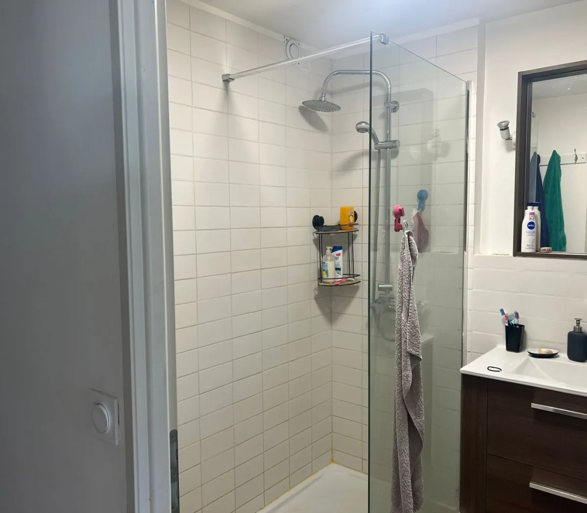 Location Grenoble Appartement 66d81da9453a