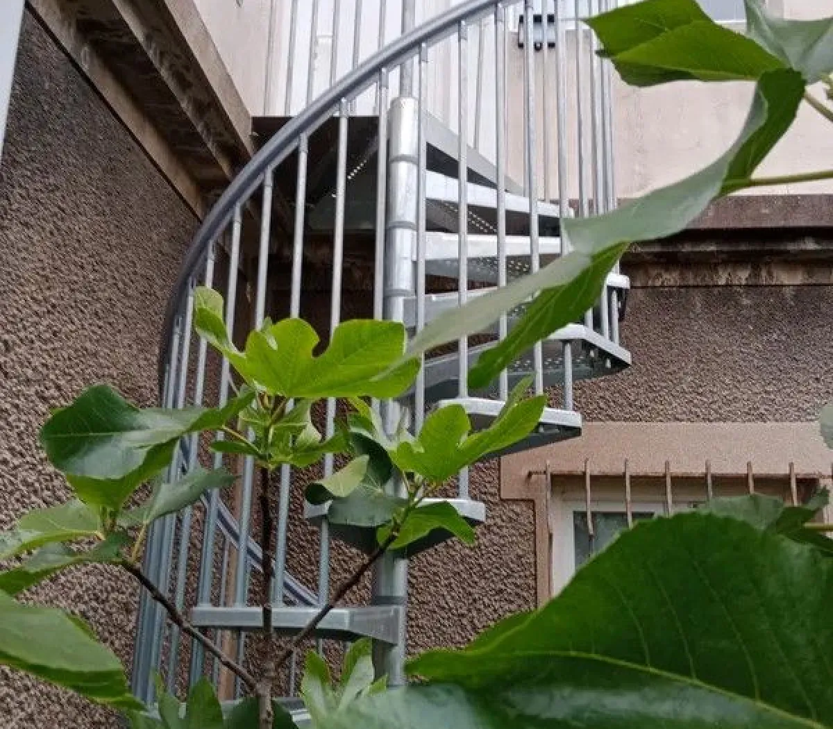 Location Saint-Maur-des-Fossés Appartement 66d86110d4b2