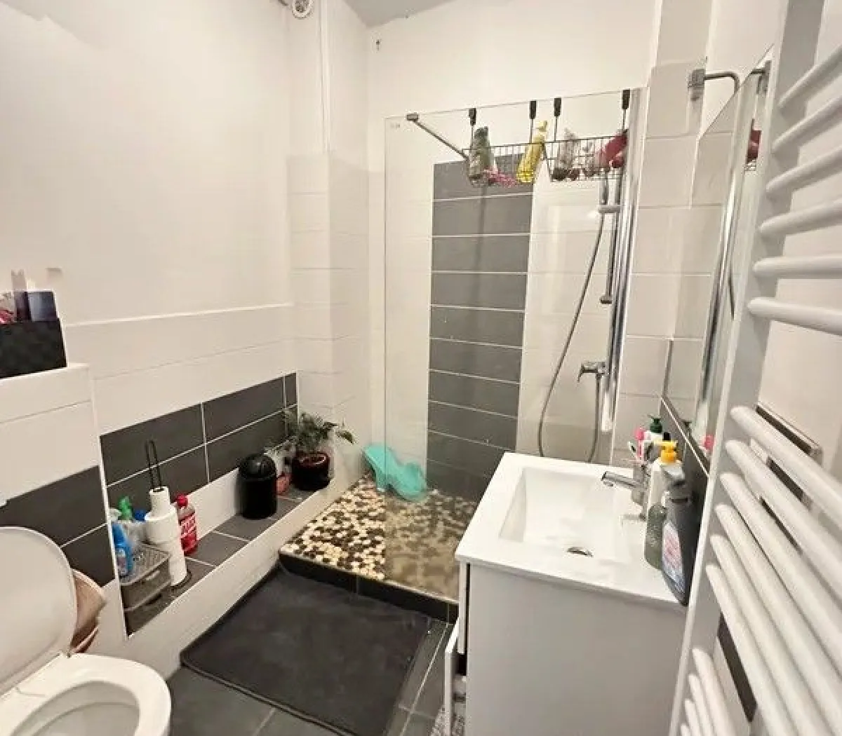 Location Saint-Étienne Appartement 66d9650e4af4