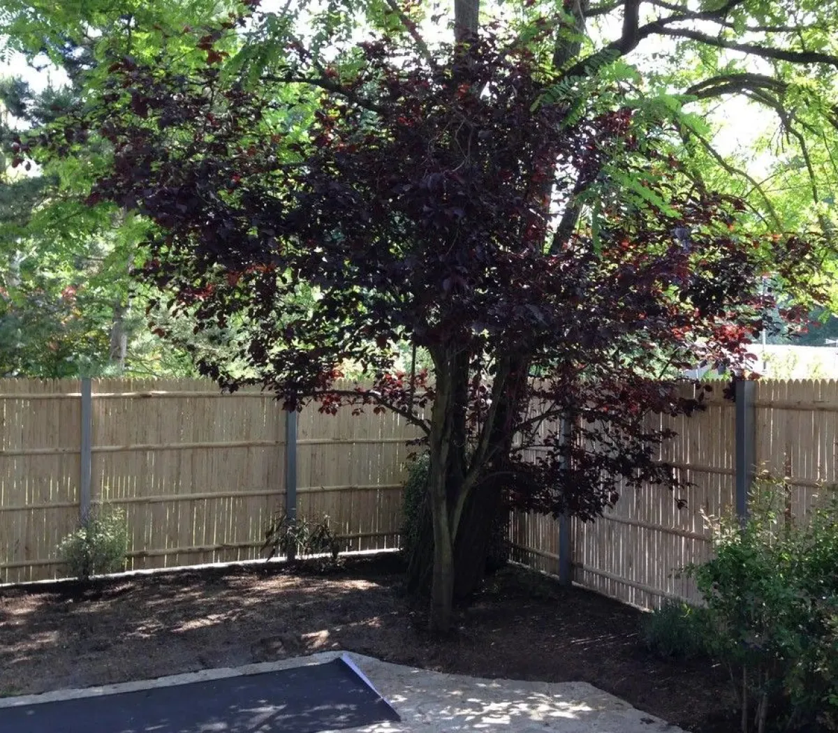 Location Le Plessis-Trévise Appartement 66e2beaab971