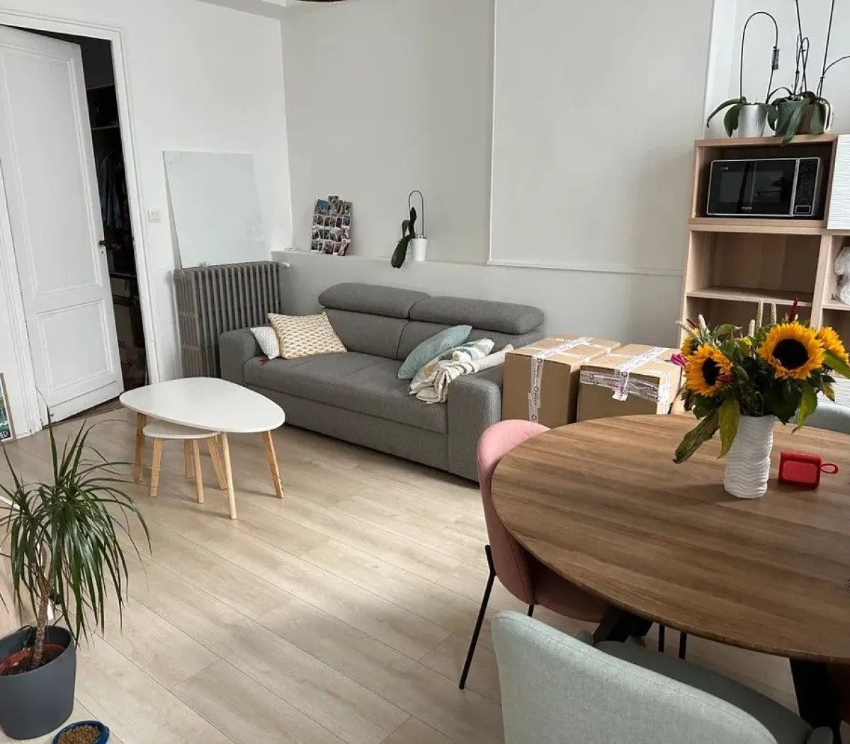 Location Bordeaux Appartement 66e4152deb71