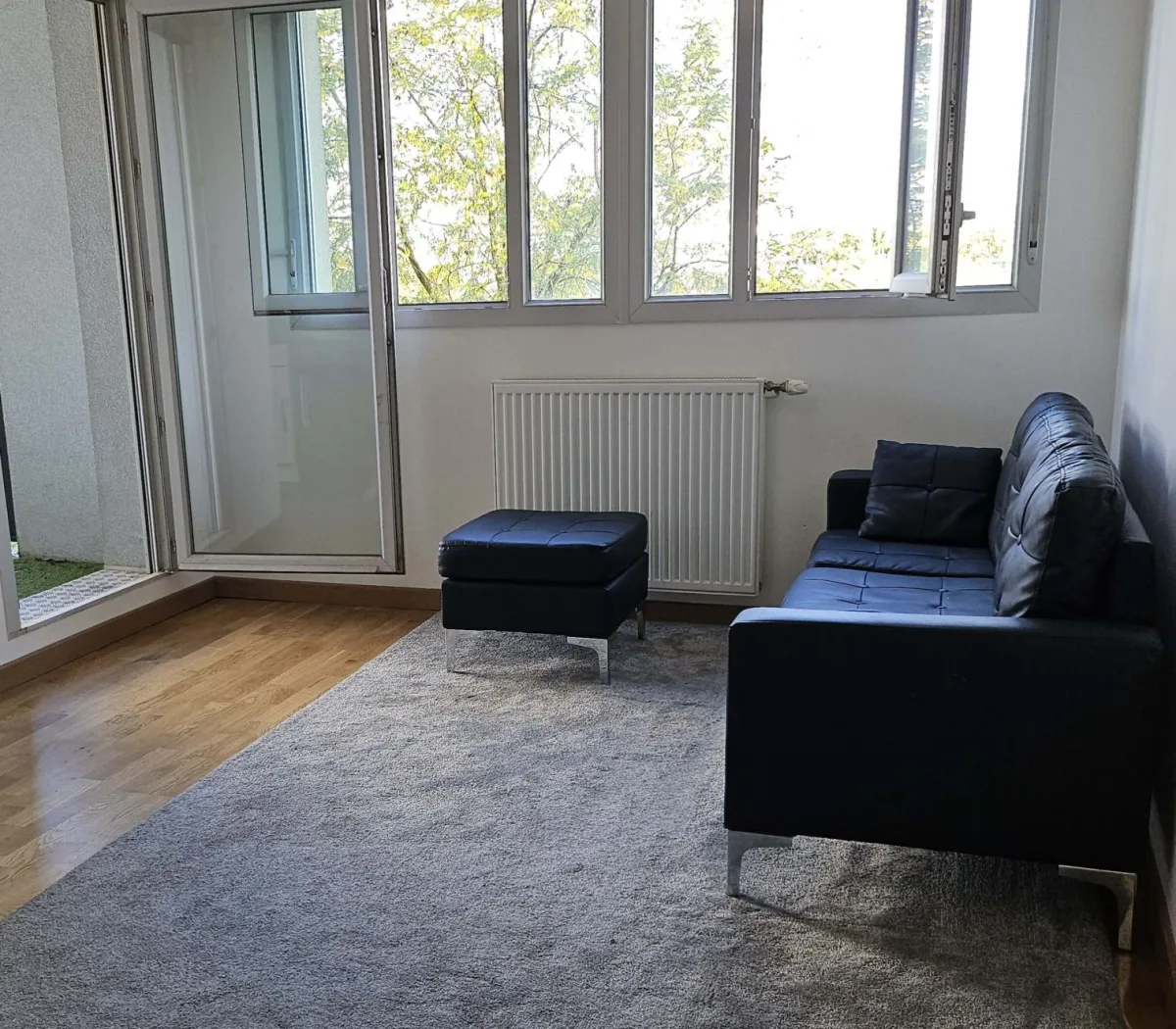 Location Villeurbanne Appartement 66e7fea41a88
