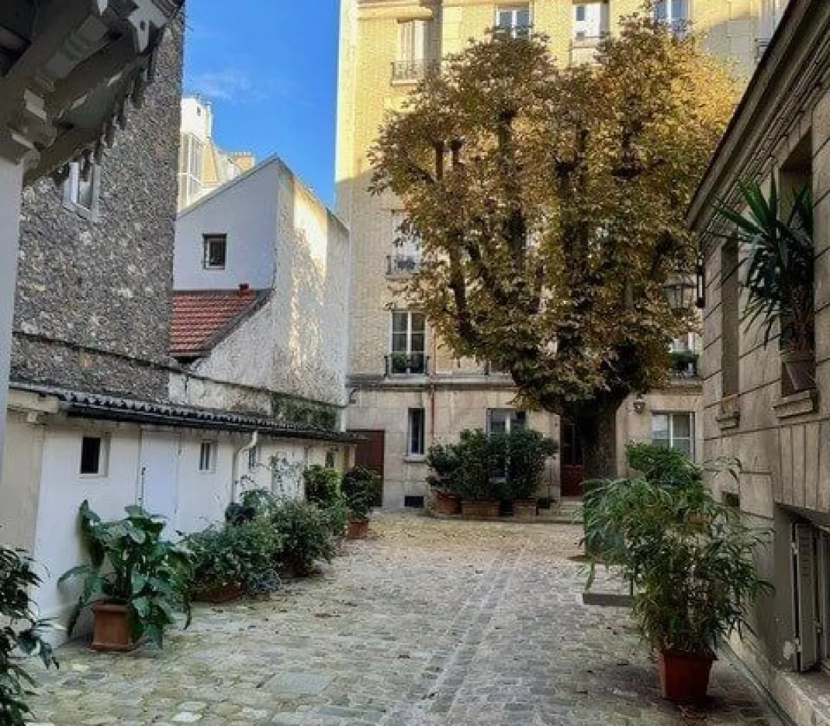 Location Paris Appartement 66e8067a246a