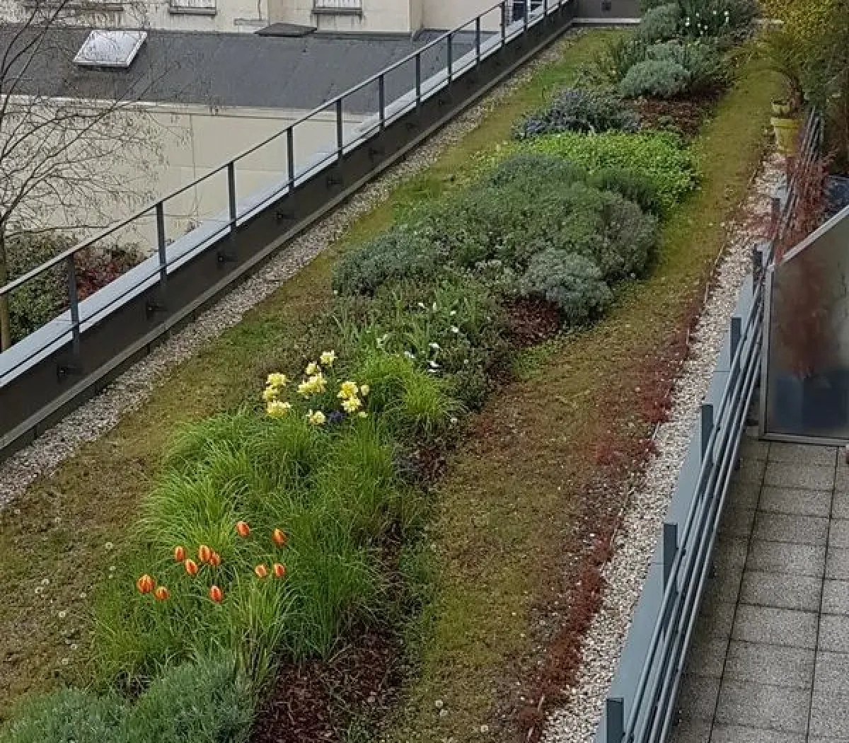 Location Asnières-sur-Seine Appartement 66e813a748b5