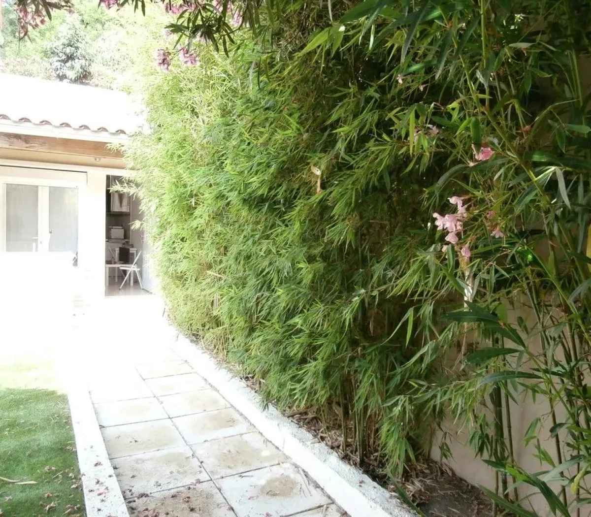 Location Marseille Appartement 66ed440f4952