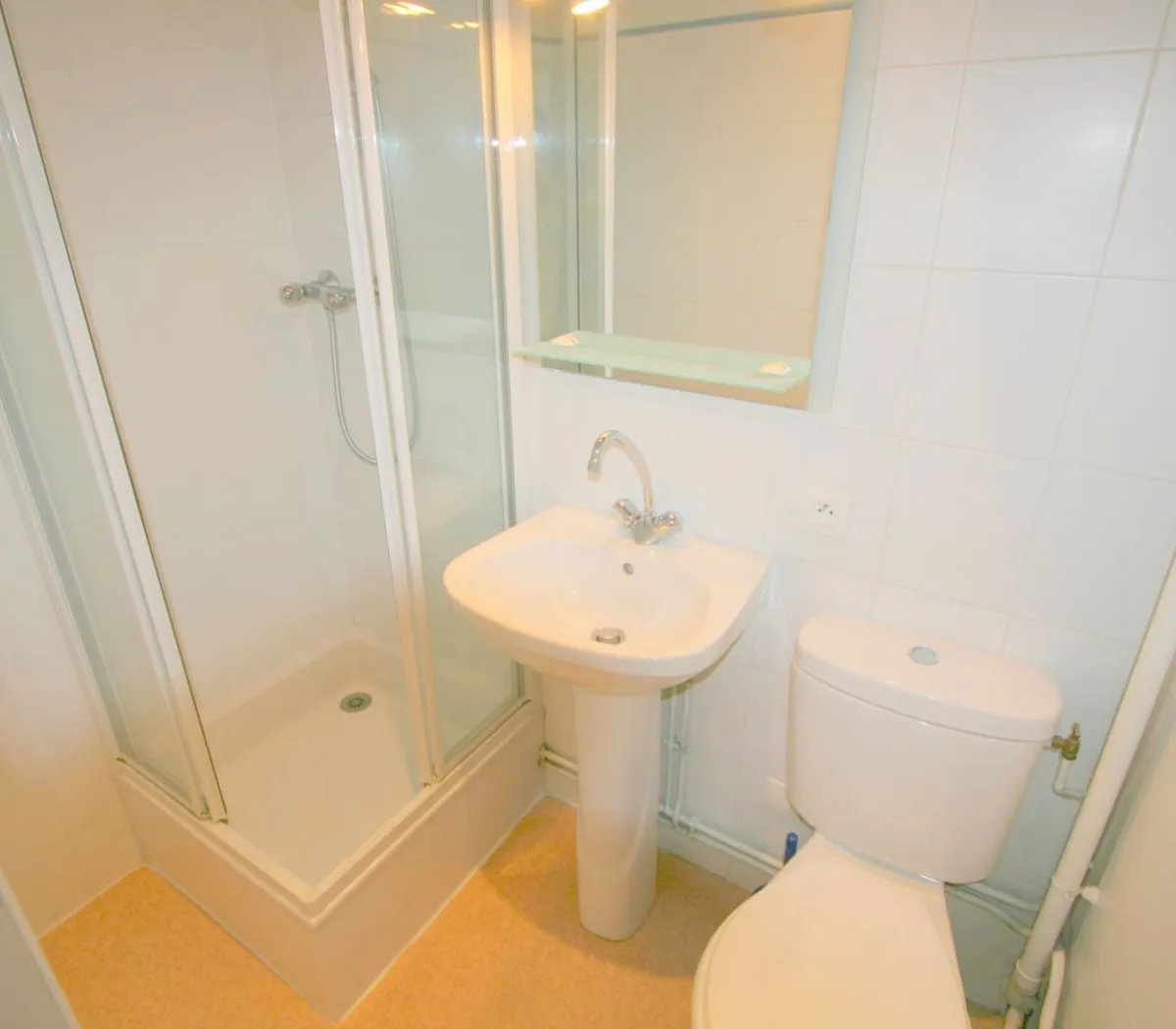 Location Grenoble Appartement 66f4aa7893a3