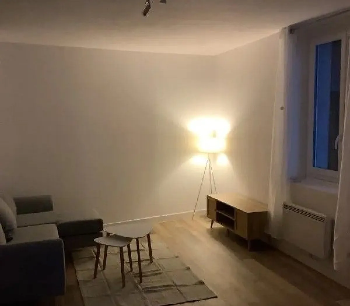 Location Saint-Étienne Appartement 66f5450ada90