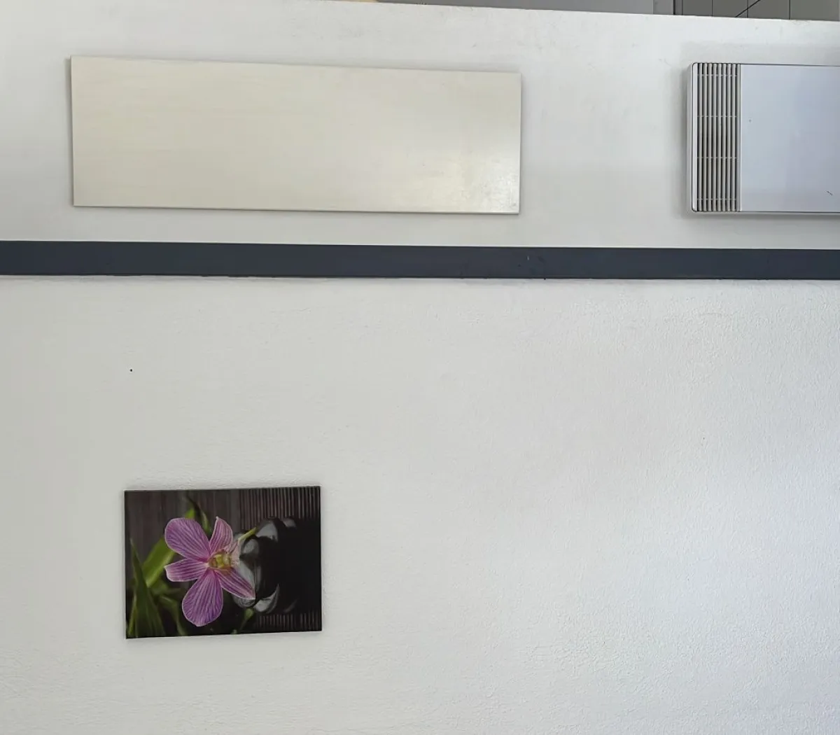 Location Muret Appartement 66fe3f7b999d