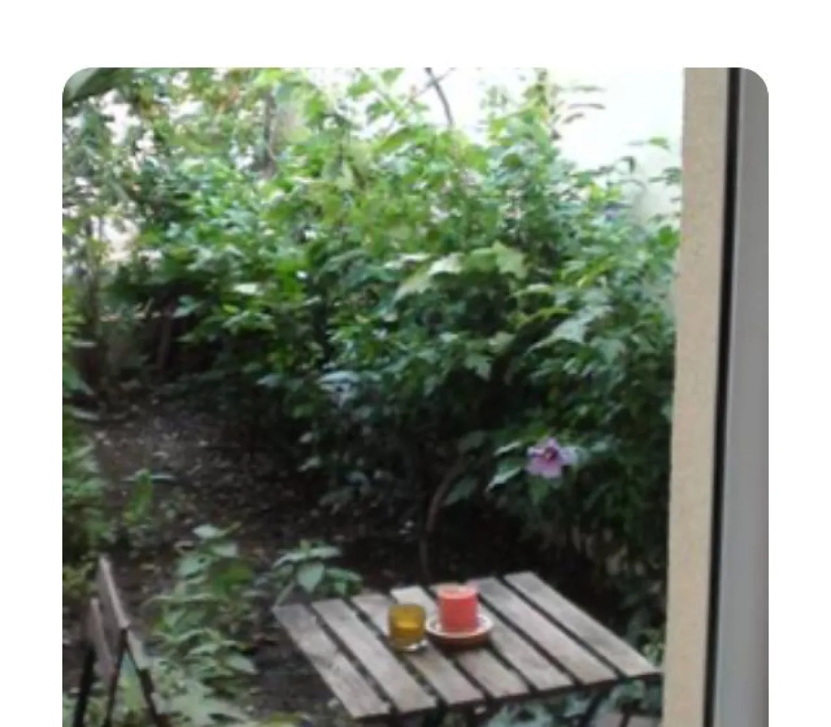 Location Grenoble Appartement 67027a7429eb