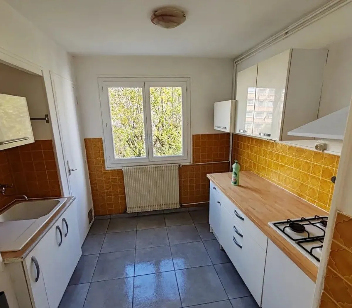 Location Grenoble Appartement 670e3b473186