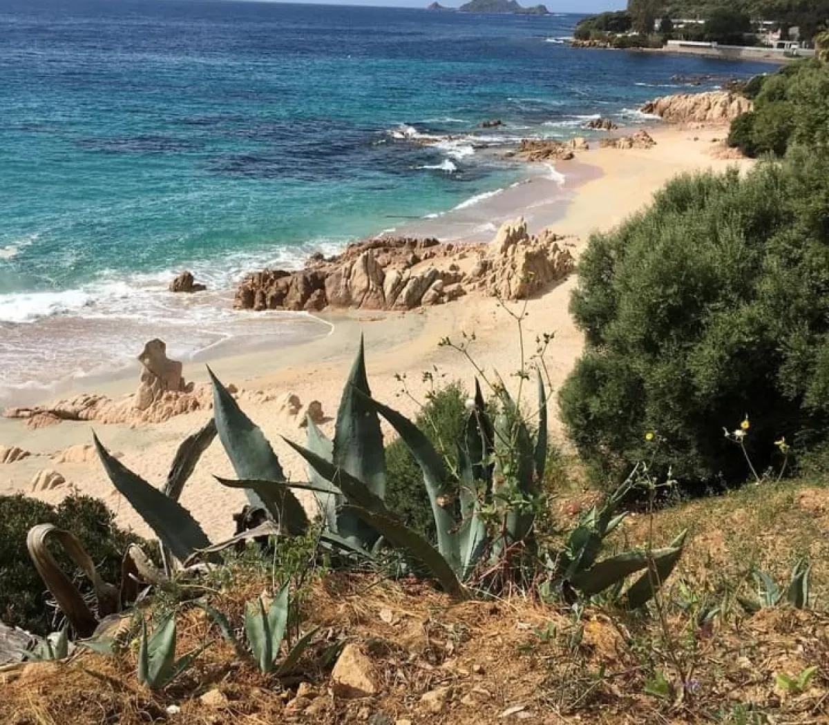 Location Ajaccio Appartement 671276b1738d