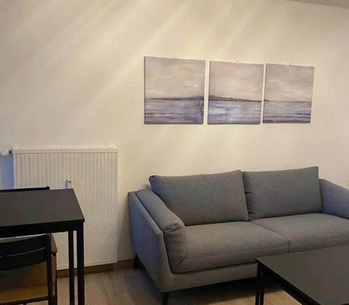 Location Mulhouse Appartement 6718fd9a459e