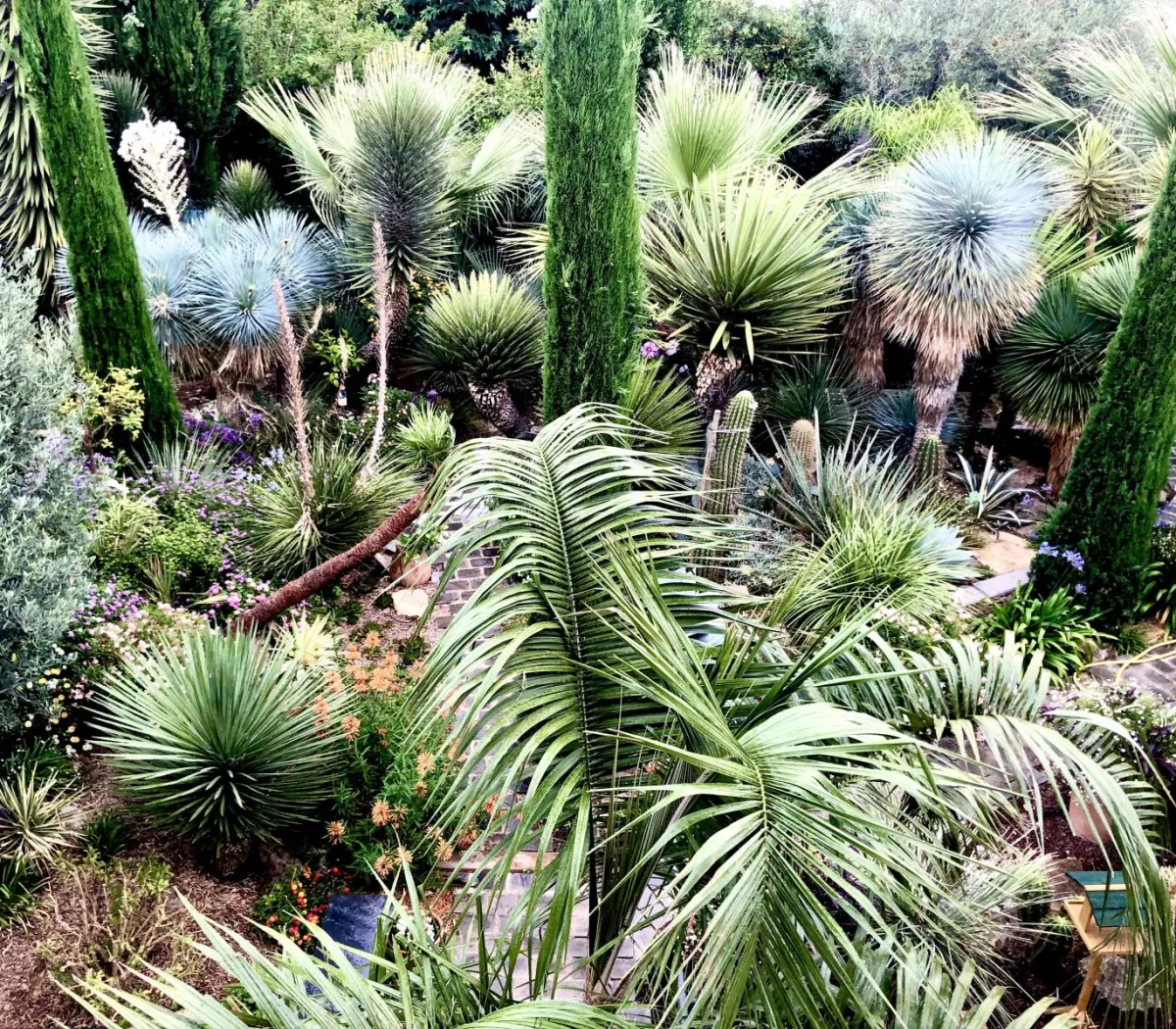 Location Marseille Appartement 672366de67e1