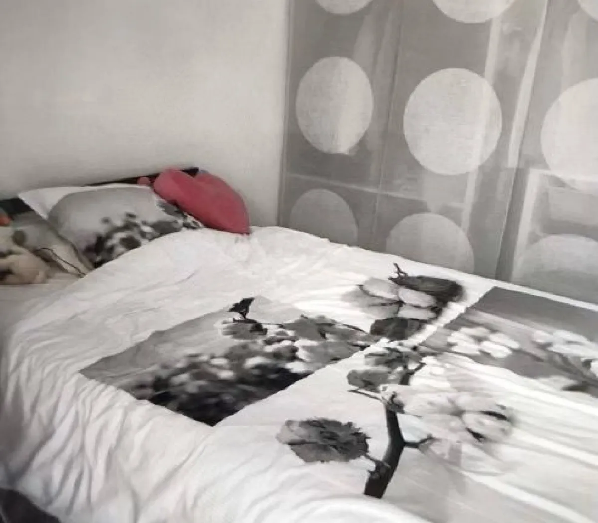 Location Montpellier Appartement 67239c89b46f