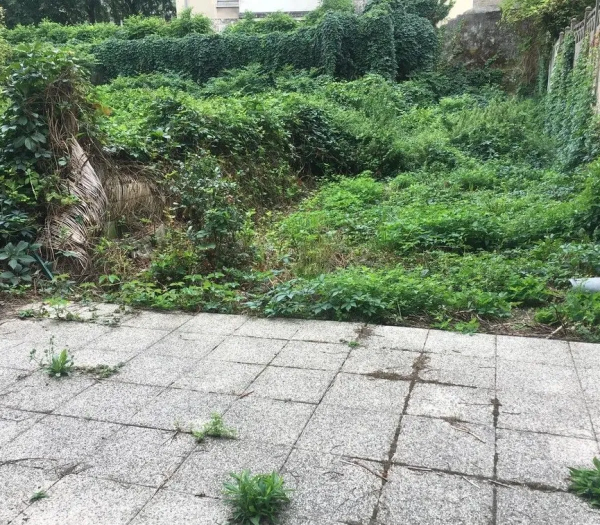 Location Nancy Appartement 67333f2c9a74