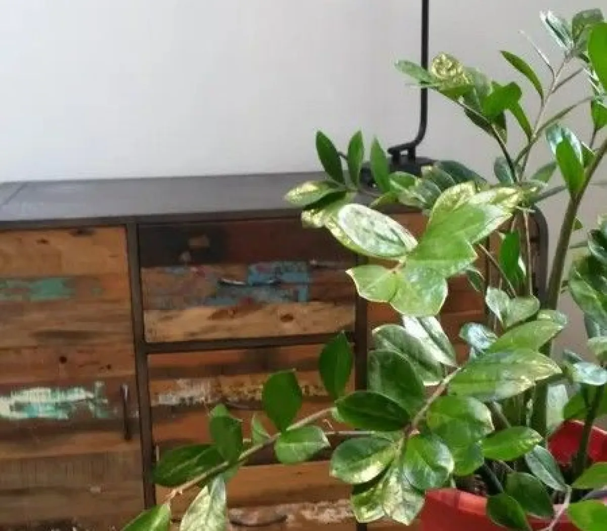 Location Nantes Appartement 673724889f25