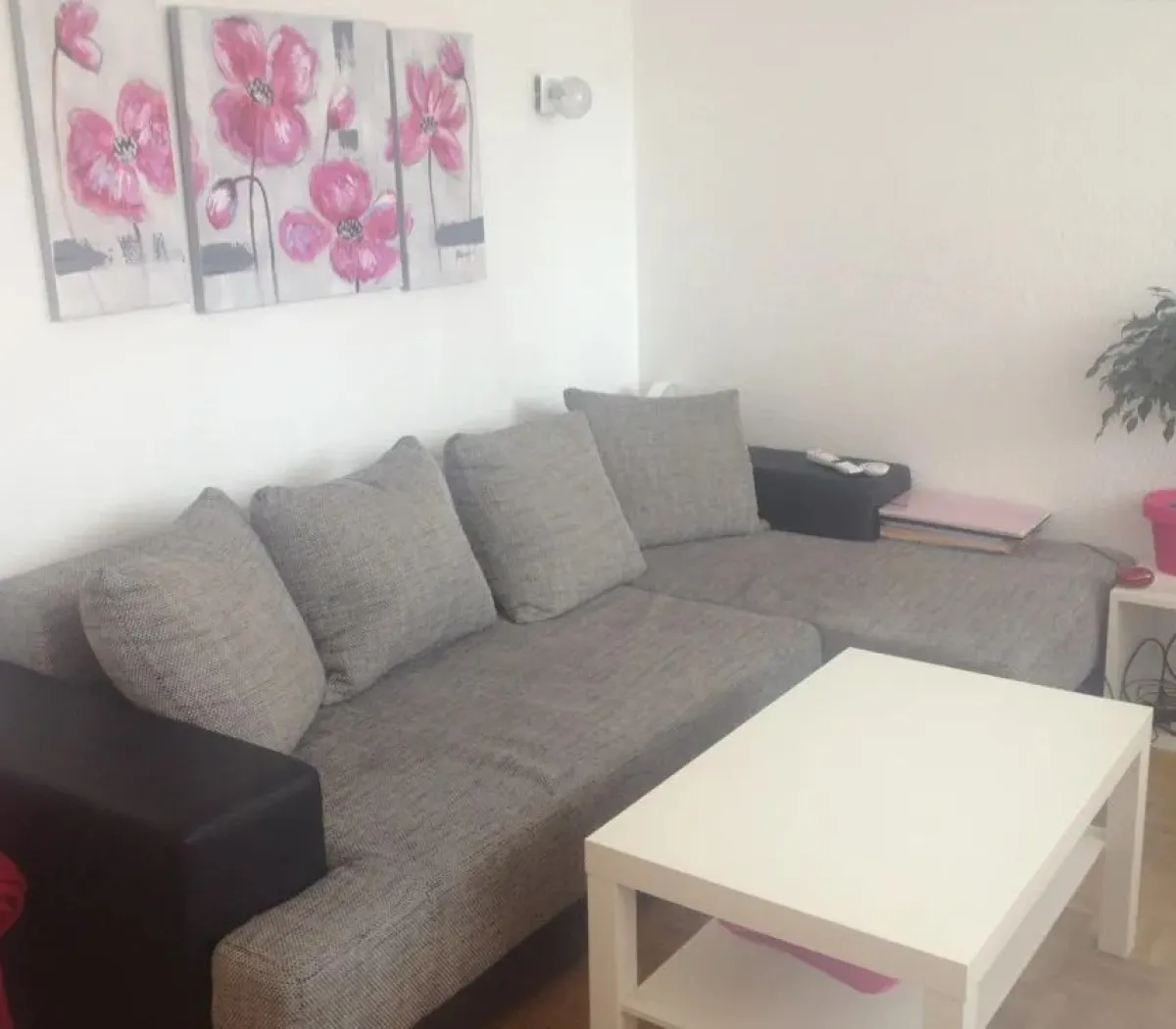 Location Strasbourg Appartement 673b0bc00197
