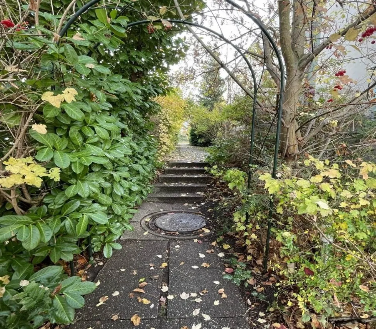 Location Strasbourg Appartement 673dc1ca4b48