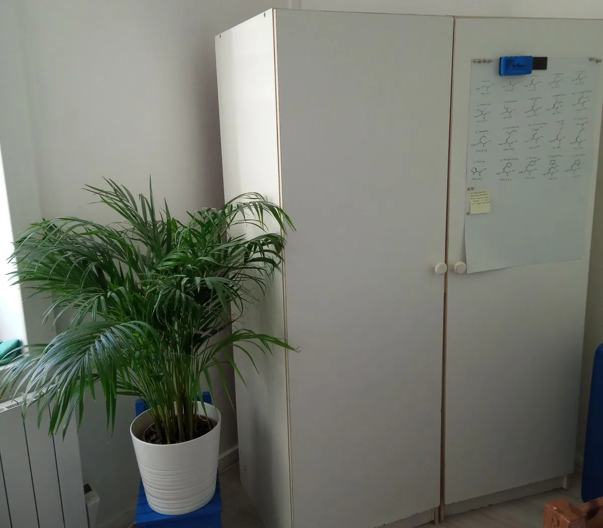 Location Lille Appartement 673e091e5710