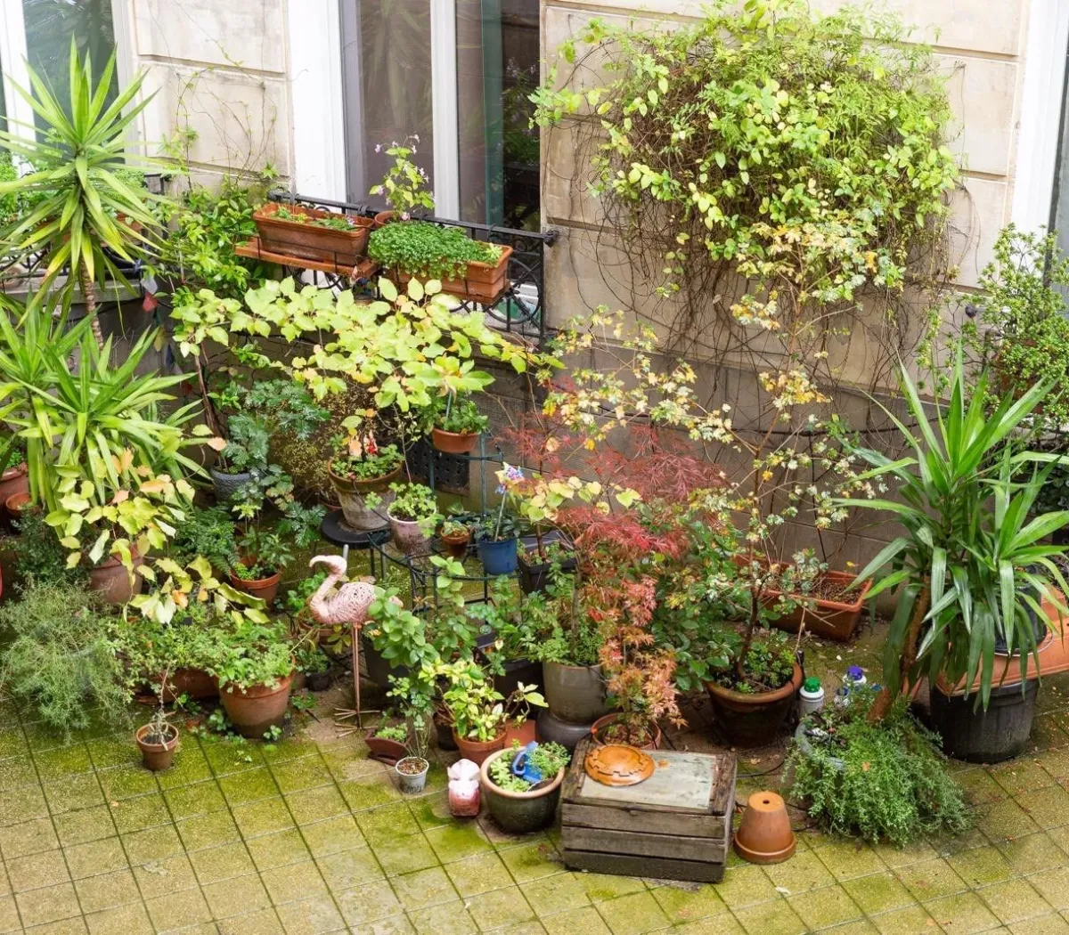 Location Pantin Appartement 6752e30975af