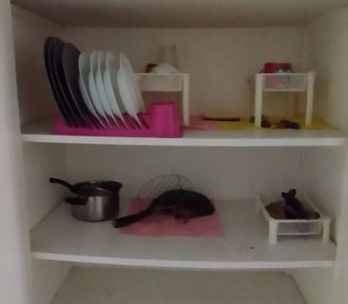 Location Voiron Appartement 6759e2ce1ca3