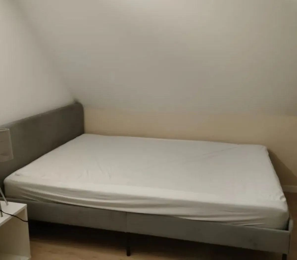 Location Mulhouse Appartement 675d4d95b784