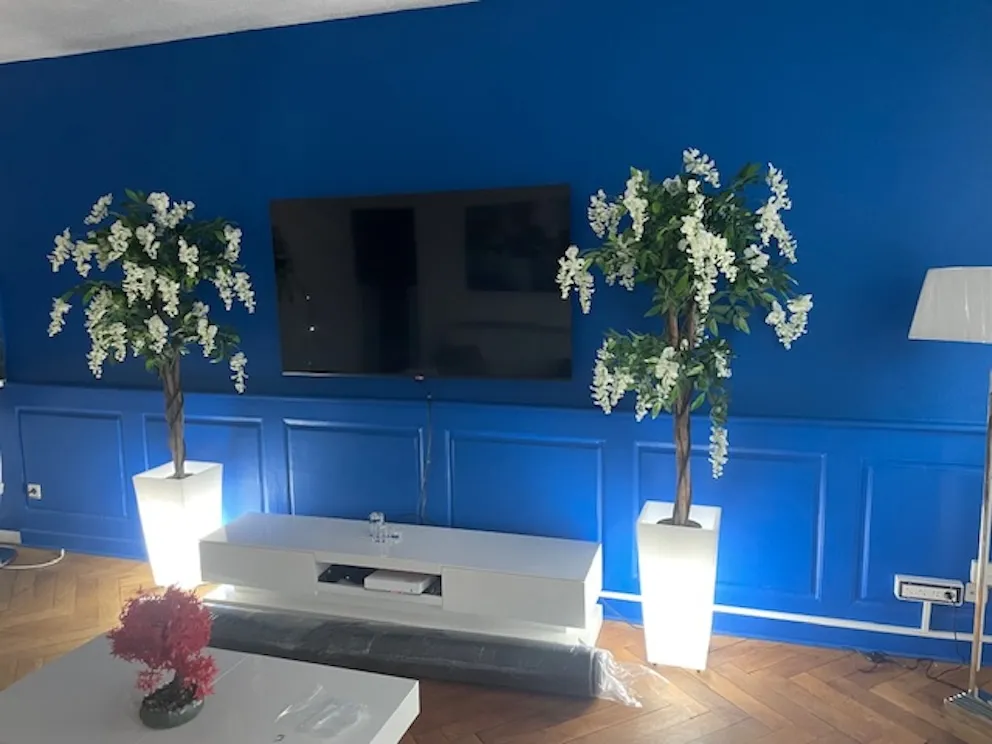 Location Strasbourg Appartement 6760808151af2