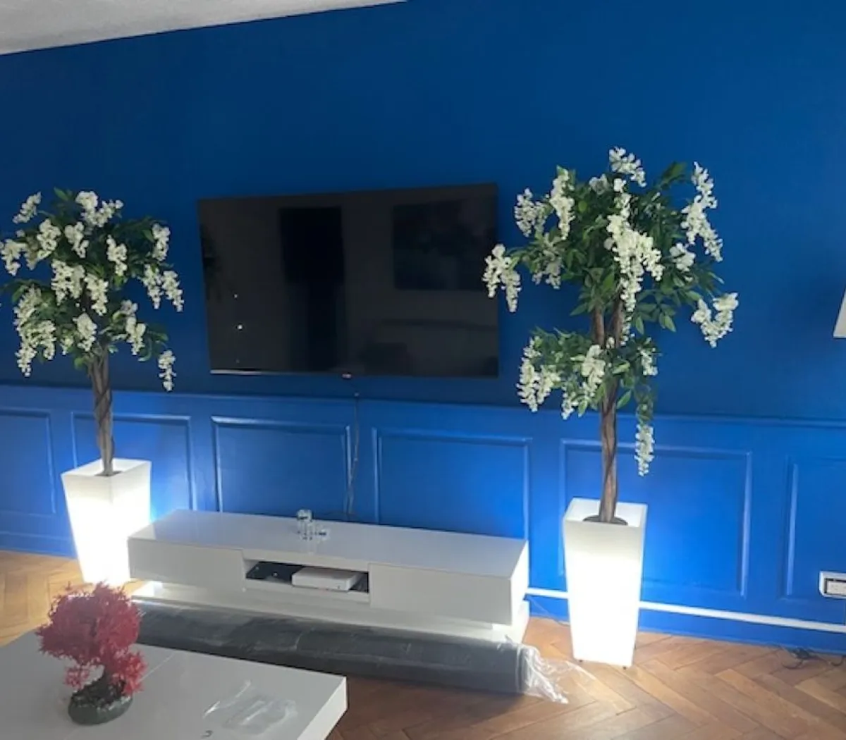 Location Strasbourg Appartement 6760808151af