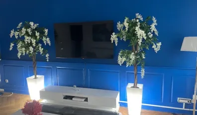miniatureLocation Strasbourg Appartement 6760808151af2