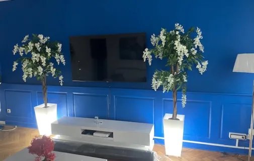 Location Strasbourg Appartement 6760808151af