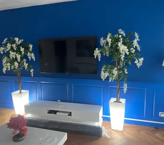 Location Strasbourg Appartement 6760808151af2