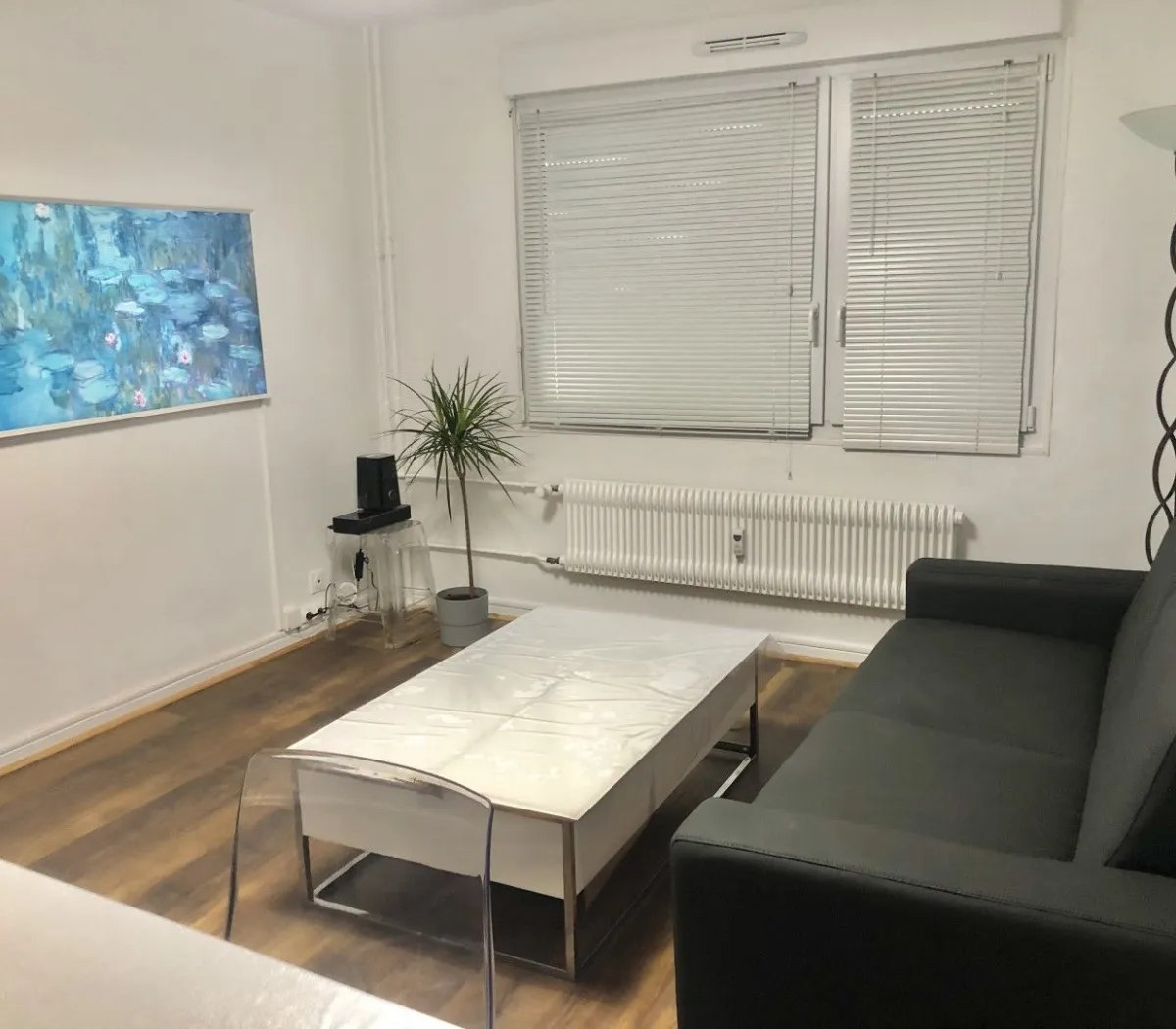 Location Strasbourg Appartement 676920235812