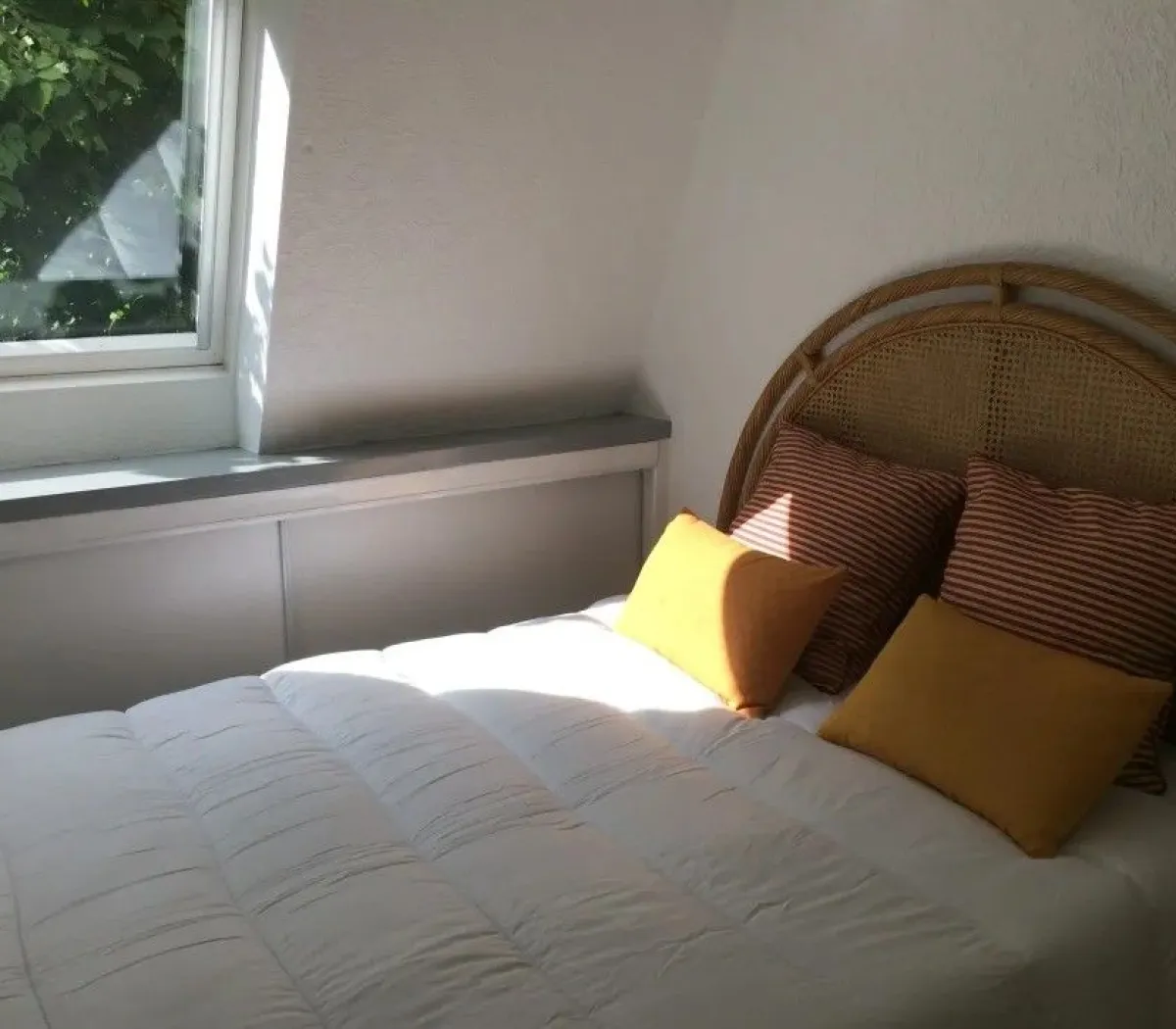 Location Rennes Appartement 677665678102