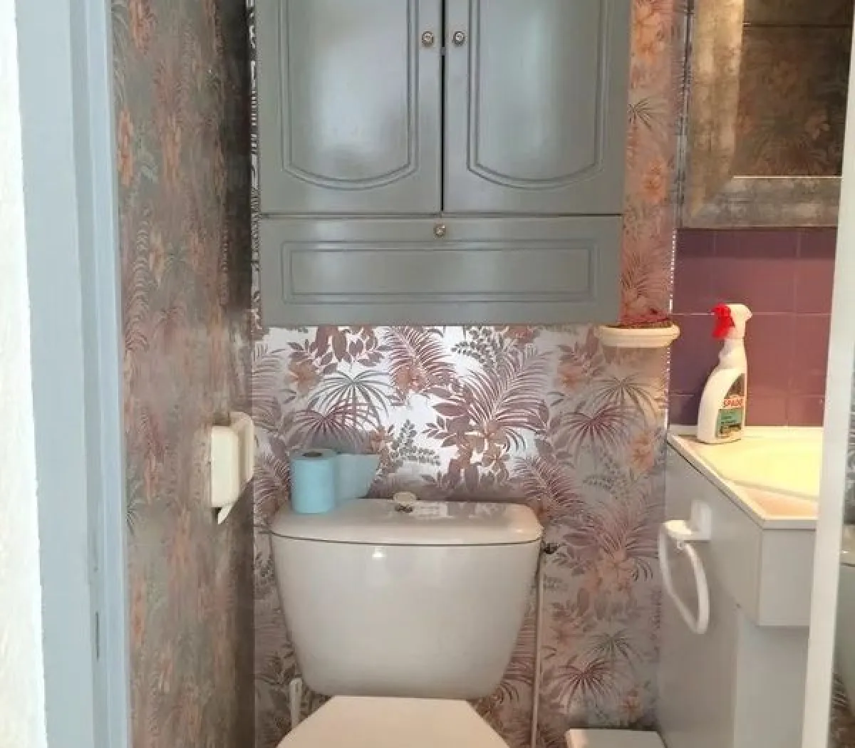 Location Rennes Appartement 677665678102