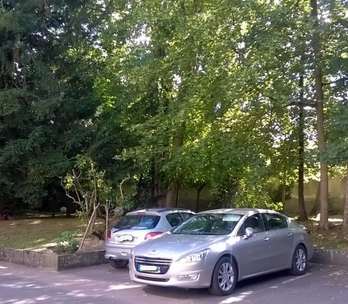 Location Reims Appartement 677f88c1babb