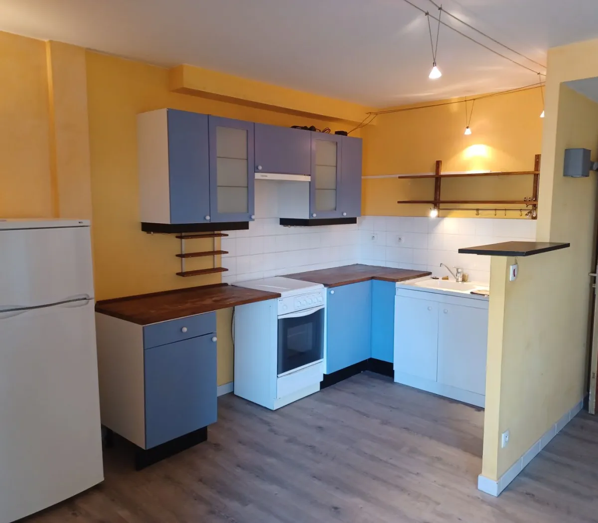 Location Tassin-la-Demi-Lune Appartement 677faebf7efb