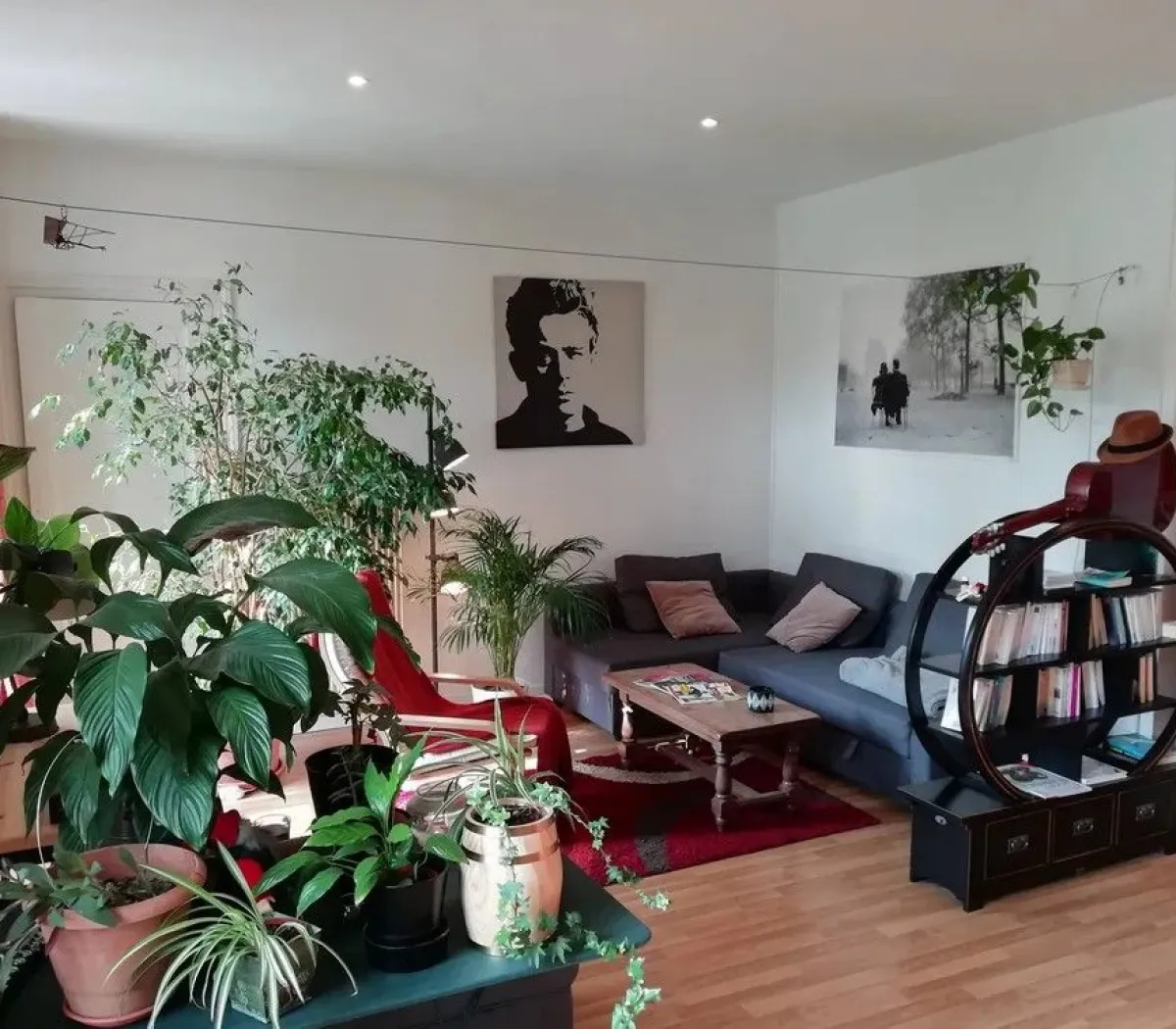 Location Grenoble Appartement 6784d5ca29f4