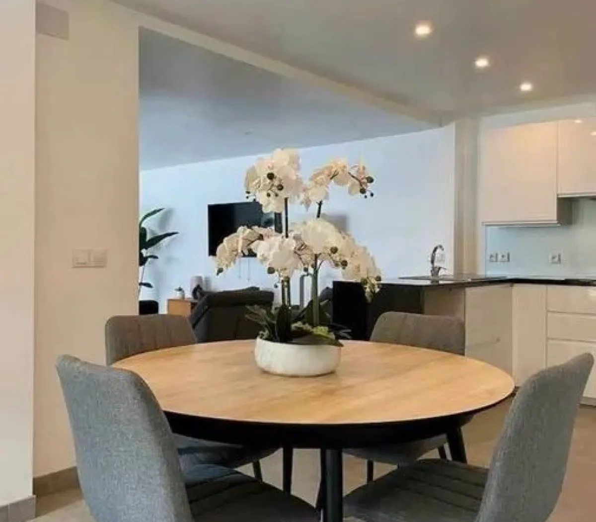 Location Villeurbanne Appartement 6798bdc685d3