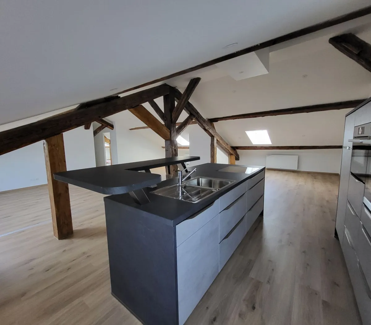 Location Nancy Appartement 679cbcf96414