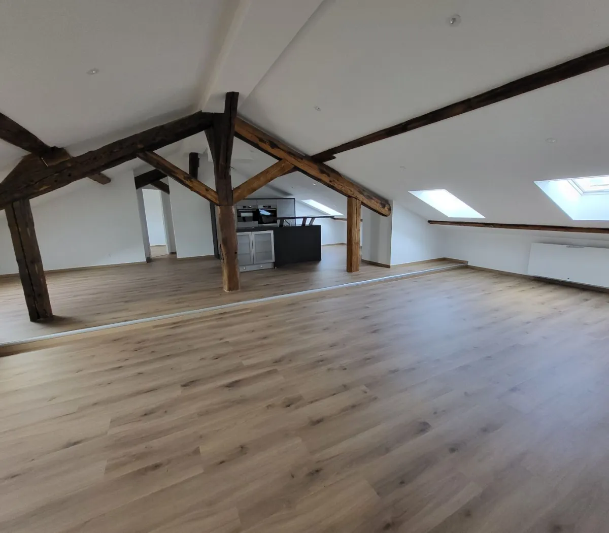 Location Nancy Appartement 679cbcf96414